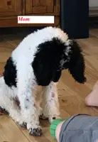 processed/a9befc57-754e-4137-8cbb-b8b26737659f/listing/15727077-9c02-4d6e-baf7-94ca83ab0532/58f894bd-a350-4cbd-8dfb-508de1a6a75f