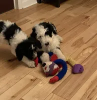 processed/a9befc57-754e-4137-8cbb-b8b26737659f/listing/25b6814e-b692-4f1e-aa53-c58fa2bae40f/3538cab5-ff20-4f46-982c-1fc90f9bcc1a