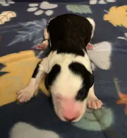 processed/a9befc57-754e-4137-8cbb-b8b26737659f/listing/25b6814e-b692-4f1e-aa53-c58fa2bae40f/3cafe5c1-6136-4343-8a1a-c83075cd6dc4