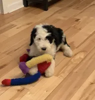 processed/a9befc57-754e-4137-8cbb-b8b26737659f/listing/25b6814e-b692-4f1e-aa53-c58fa2bae40f/a24a54c3-fcd9-48c4-819f-2bb2ba01d655