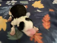 processed/a9befc57-754e-4137-8cbb-b8b26737659f/listing/25b6814e-b692-4f1e-aa53-c58fa2bae40f/bc44c91e-2097-46a9-9bdc-aa9945f61ad7