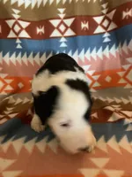 processed/a9befc57-754e-4137-8cbb-b8b26737659f/listing/25b6814e-b692-4f1e-aa53-c58fa2bae40f/bef68800-150e-4bd6-93e5-b957a516f922