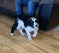 processed/a9befc57-754e-4137-8cbb-b8b26737659f/listing/3532c495-713c-4f1e-91b7-89e9fbbcc06c/0ac2476b-5f5b-47c3-a916-91be13c67843