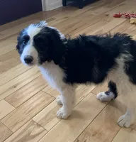 processed/a9befc57-754e-4137-8cbb-b8b26737659f/listing/3532c495-713c-4f1e-91b7-89e9fbbcc06c/6bcd6afc-2c79-486b-8b2d-52f6ef670ba4