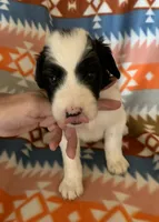 processed/a9befc57-754e-4137-8cbb-b8b26737659f/listing/3532c495-713c-4f1e-91b7-89e9fbbcc06c/e13be550-54ba-44e8-8be7-1c445f4142dd