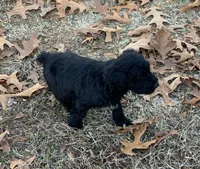 processed/a9befc57-754e-4137-8cbb-b8b26737659f/listing/7f0b6c63-9bdd-493e-ac2a-69cafd9ab687/1d443af9-3244-423b-b84d-a3735afe756c