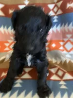 processed/a9befc57-754e-4137-8cbb-b8b26737659f/listing/7f0b6c63-9bdd-493e-ac2a-69cafd9ab687/4a168a55-8c04-41b0-9bc0-9d729fdf909f