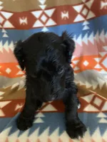 processed/a9befc57-754e-4137-8cbb-b8b26737659f/listing/7f0b6c63-9bdd-493e-ac2a-69cafd9ab687/77795c07-3129-4351-9bb4-92eb4fa2ccb0