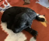 processed/a9befc57-754e-4137-8cbb-b8b26737659f/listing/7f0b6c63-9bdd-493e-ac2a-69cafd9ab687/dbb371a4-e57b-4d57-8b77-862993625fdc