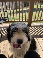 processed/a9befc57-754e-4137-8cbb-b8b26737659f/listing/9508ed5d-7f8e-4f1b-b9d7-568959c59159/10e16a38-cdd8-47dd-80cb-d121b174b243