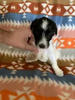 processed/a9befc57-754e-4137-8cbb-b8b26737659f/listing/9508ed5d-7f8e-4f1b-b9d7-568959c59159/2b40f1ed-4e4a-4c73-ac14-6eb2b5343623