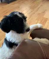 processed/a9befc57-754e-4137-8cbb-b8b26737659f/listing/9508ed5d-7f8e-4f1b-b9d7-568959c59159/7de0aaab-7e24-4b66-b7af-e05864cee52c