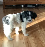 processed/a9befc57-754e-4137-8cbb-b8b26737659f/listing/9508ed5d-7f8e-4f1b-b9d7-568959c59159/fb8a2cec-750d-46cc-985b-7a1f3ddb11c7