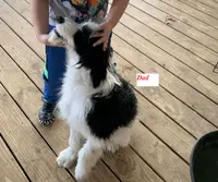 processed/a9befc57-754e-4137-8cbb-b8b26737659f/listing/a63fe08e-acb8-4008-b016-f6b782c988dc/11102c1b-9434-4146-b8f6-6a93784e7756