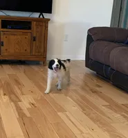 processed/a9befc57-754e-4137-8cbb-b8b26737659f/listing/a63fe08e-acb8-4008-b016-f6b782c988dc/20143aed-d7d1-4239-bcfc-73a1a62f0e4e