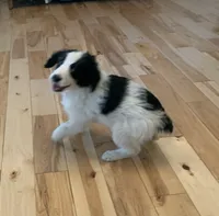 processed/a9befc57-754e-4137-8cbb-b8b26737659f/listing/a63fe08e-acb8-4008-b016-f6b782c988dc/72ea608a-be08-4126-89ec-cedf55ba4ddf