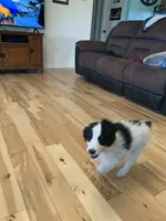 processed/a9befc57-754e-4137-8cbb-b8b26737659f/listing/a63fe08e-acb8-4008-b016-f6b782c988dc/9c8042ec-10b0-47e5-9df4-6f7cc9a082d7