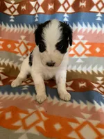 processed/a9befc57-754e-4137-8cbb-b8b26737659f/listing/a63fe08e-acb8-4008-b016-f6b782c988dc/f51ae0a1-7b8e-4b47-8719-0589efe1ccbb