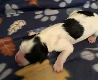 processed/a9befc57-754e-4137-8cbb-b8b26737659f/listing/a63fe08e-acb8-4008-b016-f6b782c988dc/fa08c9d8-9570-4327-a5ff-e53eaaf00b62