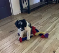 processed/a9befc57-754e-4137-8cbb-b8b26737659f/listing/b4f215cc-181f-451d-b293-c17982ec7a71/1f5c481d-82a9-4e98-85ad-56adb2c305cc