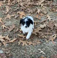 processed/a9befc57-754e-4137-8cbb-b8b26737659f/listing/b4f215cc-181f-451d-b293-c17982ec7a71/2ddaf36a-e96a-4da7-b367-1fb1434020be