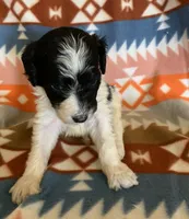 processed/a9befc57-754e-4137-8cbb-b8b26737659f/listing/b4f215cc-181f-451d-b293-c17982ec7a71/6e1666a5-deda-4742-a27e-5dc627fb547d