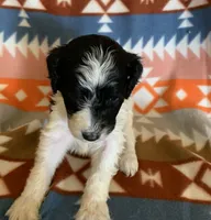 processed/a9befc57-754e-4137-8cbb-b8b26737659f/listing/b4f215cc-181f-451d-b293-c17982ec7a71/d461e3f1-ebb4-491b-af39-b2da96056915