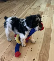 processed/a9befc57-754e-4137-8cbb-b8b26737659f/listing/b4f215cc-181f-451d-b293-c17982ec7a71/f203620a-ee96-4b6a-a523-6bec2ef91455