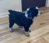 processed/a9befc57-754e-4137-8cbb-b8b26737659f/listing/cb20157d-4a6b-4f05-99d1-6f5706679efd/0978f20a-6c22-44a7-9526-056f21d210a6