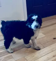 processed/a9befc57-754e-4137-8cbb-b8b26737659f/listing/cb20157d-4a6b-4f05-99d1-6f5706679efd/36c0d651-3bd6-43b8-ad8a-0a4fb7152f59