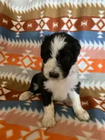 processed/a9befc57-754e-4137-8cbb-b8b26737659f/listing/cb20157d-4a6b-4f05-99d1-6f5706679efd/c95fb605-0c73-4e34-8819-a92225505191