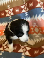 processed/a9befc57-754e-4137-8cbb-b8b26737659f/listing/cb20157d-4a6b-4f05-99d1-6f5706679efd/f390c071-1c21-4806-bcf7-259ab94b575a