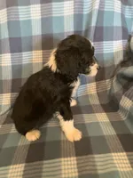 processed/a9befc57-754e-4137-8cbb-b8b26737659f/listing/cfdf53f5-e842-4d82-91e5-2d16c577c45d/0b2b1b76-8122-4aa0-9c73-e0bdb7eea722