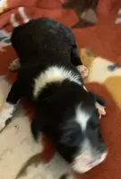 processed/a9befc57-754e-4137-8cbb-b8b26737659f/listing/cfdf53f5-e842-4d82-91e5-2d16c577c45d/226cdb5f-97e1-488e-bb50-b34a3b81f76c