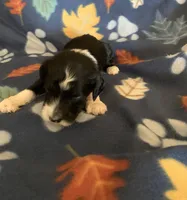 processed/a9befc57-754e-4137-8cbb-b8b26737659f/listing/cfdf53f5-e842-4d82-91e5-2d16c577c45d/281ea0d6-5f59-4d22-836a-ef8f708ac2ae