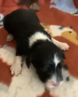 processed/a9befc57-754e-4137-8cbb-b8b26737659f/listing/cfdf53f5-e842-4d82-91e5-2d16c577c45d/4140ac78-b73f-459d-9670-7525c41e937f