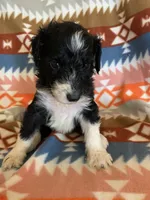 processed/a9befc57-754e-4137-8cbb-b8b26737659f/listing/cfdf53f5-e842-4d82-91e5-2d16c577c45d/4fd47f16-7141-4cf1-831d-86646005ecce