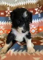 processed/a9befc57-754e-4137-8cbb-b8b26737659f/listing/cfdf53f5-e842-4d82-91e5-2d16c577c45d/69337a32-7c07-4698-a758-bcb1a0f5ac0e