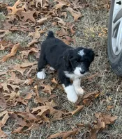 processed/a9befc57-754e-4137-8cbb-b8b26737659f/listing/cfdf53f5-e842-4d82-91e5-2d16c577c45d/ec001ece-12fa-4715-99d0-32a8606babc1