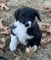 processed/a9befc57-754e-4137-8cbb-b8b26737659f/listing/d6e38d1c-5e83-4150-a6df-ac7e63aa2c2a/1b9b8e51-2b9c-492a-8849-931ab835126c