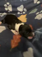 processed/a9befc57-754e-4137-8cbb-b8b26737659f/listing/d6e38d1c-5e83-4150-a6df-ac7e63aa2c2a/6e72edfb-4441-4557-9685-4961d2114f8e