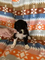 processed/a9befc57-754e-4137-8cbb-b8b26737659f/listing/d6e38d1c-5e83-4150-a6df-ac7e63aa2c2a/cc5b0a87-0751-467a-be6a-3d7237c074d7