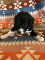 processed/a9befc57-754e-4137-8cbb-b8b26737659f/listing/d6e38d1c-5e83-4150-a6df-ac7e63aa2c2a/e26ec02f-3665-4fdc-8e49-0d8ce50561b8