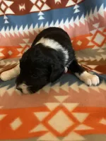 processed/a9befc57-754e-4137-8cbb-b8b26737659f/listing/d6e38d1c-5e83-4150-a6df-ac7e63aa2c2a/e3881db3-6882-4f76-a8f0-21f307b22b0f