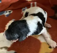 processed/a9befc57-754e-4137-8cbb-b8b26737659f/listing/e00a07ab-1b50-4590-a5ca-73dfd8f05c21/352a7cab-7c0f-407a-8385-2e2410525a94