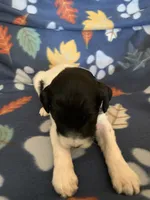 processed/a9befc57-754e-4137-8cbb-b8b26737659f/listing/e00a07ab-1b50-4590-a5ca-73dfd8f05c21/51637be7-482f-4b86-a818-fb82d57419bd