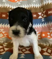 processed/a9befc57-754e-4137-8cbb-b8b26737659f/listing/e00a07ab-1b50-4590-a5ca-73dfd8f05c21/79f1c41b-8cae-47f6-a86e-b85d429e2684