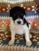 processed/a9befc57-754e-4137-8cbb-b8b26737659f/listing/e00a07ab-1b50-4590-a5ca-73dfd8f05c21/801415b0-620d-4f44-9d49-dece1b8f35f7