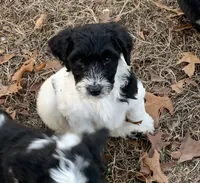 processed/a9befc57-754e-4137-8cbb-b8b26737659f/listing/e00a07ab-1b50-4590-a5ca-73dfd8f05c21/e4baf498-ae3a-482f-ac5c-596d21ae97b1