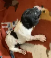 processed/a9befc57-754e-4137-8cbb-b8b26737659f/listing/e00a07ab-1b50-4590-a5ca-73dfd8f05c21/eaa85a78-e623-4782-8b6d-c1b77590bbcc